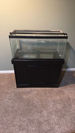 40 Gallon Fish Tank With Base And LED Light. Used.