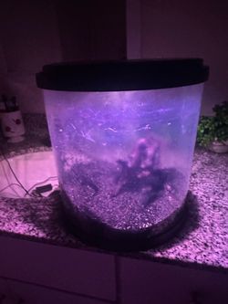 Small Round Fish Tank with LED Lighting
