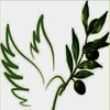 Armor Of God Ministry 