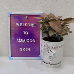 Mini facial