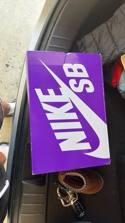 Nike SBs