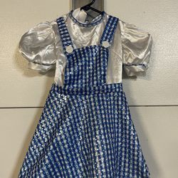 Dorthy From The Wizard Of Oz Costume