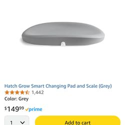 Basinet, Diaper Pail , Hatch Changing  Scale 