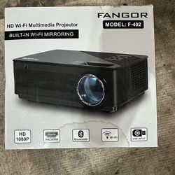 Multi Media Projector and a 20ft Inflatable Screen