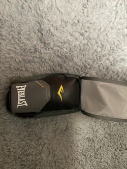 Everlast 16 Ounce Gloved