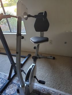 Stamina  recumbent