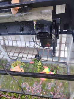 Fish tank with accessories
