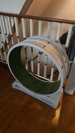 Cat treadmill