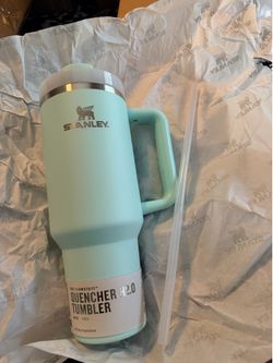 Stanley Quencher H2.0 40oz Tumbler – Mint Green – NEW