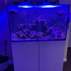 Red Sea MAX E-Series 260 All In One Saltwater Aquarium white