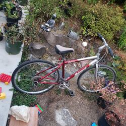 Mens Bike - Giant Brand