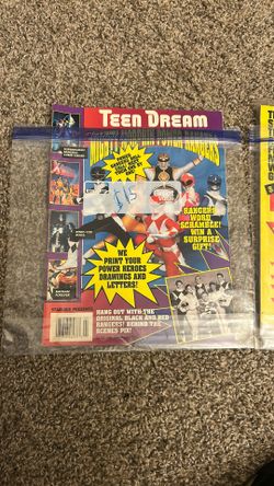 Teen Dream Mighty Morphin Power Rangers