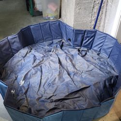 Collapsible dog pool