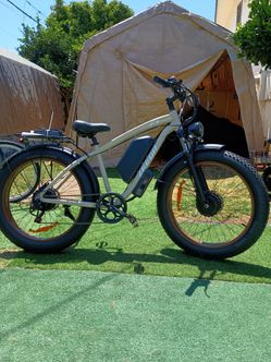 $800 dual motor bicicleta electrica