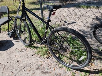 Trek Verve 1 Large Black 