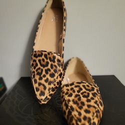 Women's Shoes 