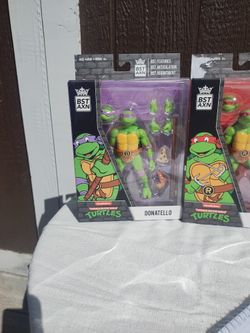 Ninja Turtle 