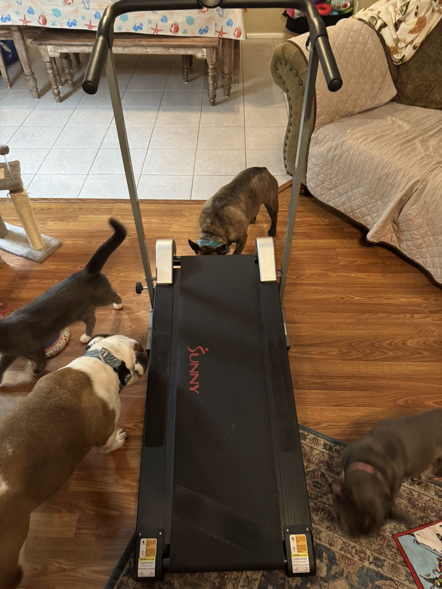 Manual Treadmill