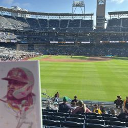 Tatis Bobble head 