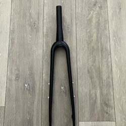 Carbon Fork
