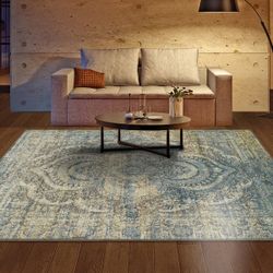 Living room rug