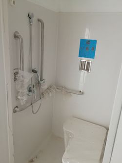 Handicap shower