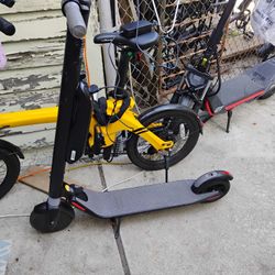 Ninebot Scooter 