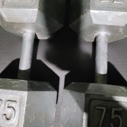 75lbs Dumbells Weights 