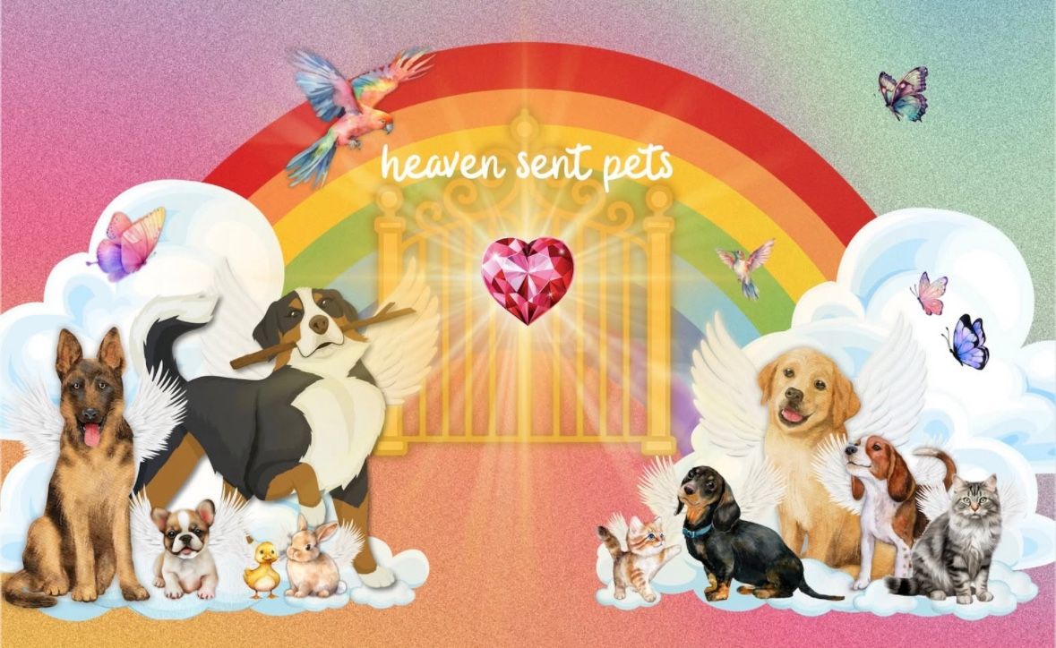 NEW BUSINESS ALERT- Heaven Sent Pets