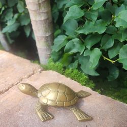Brass Turtle Figurine 