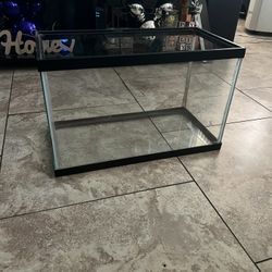 Fish Tank 