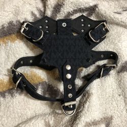 Dog Harnesses 