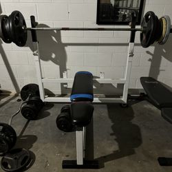 Dumbbell Plates 254 Pounds 