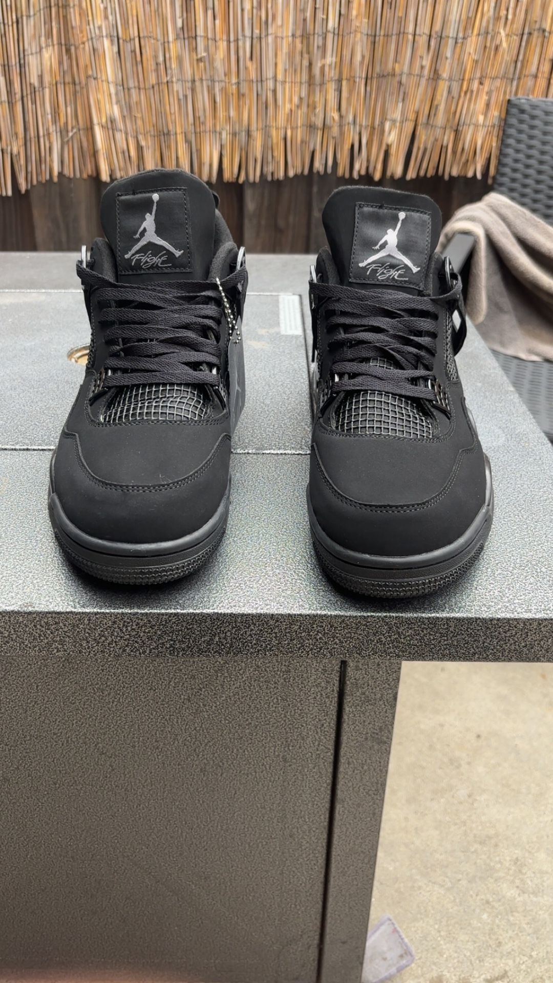 Air Jordan 4 Black Cats (Size 13)