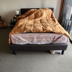 Queen Size Cotton Down Comforter/Duvet