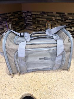 Pet Carrier, 17.5 X 11.5 X 11.5 Gray