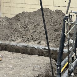 Free Soil