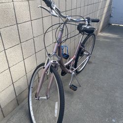 Specialized Globe Woman Bike Bicycle Road Bike Wheels 700