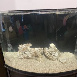36 Gallon Bow Front Tank 