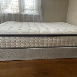 Free Full Size Mattress and Box spring.
