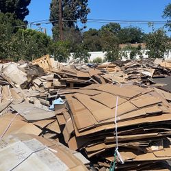 Free cardboard 