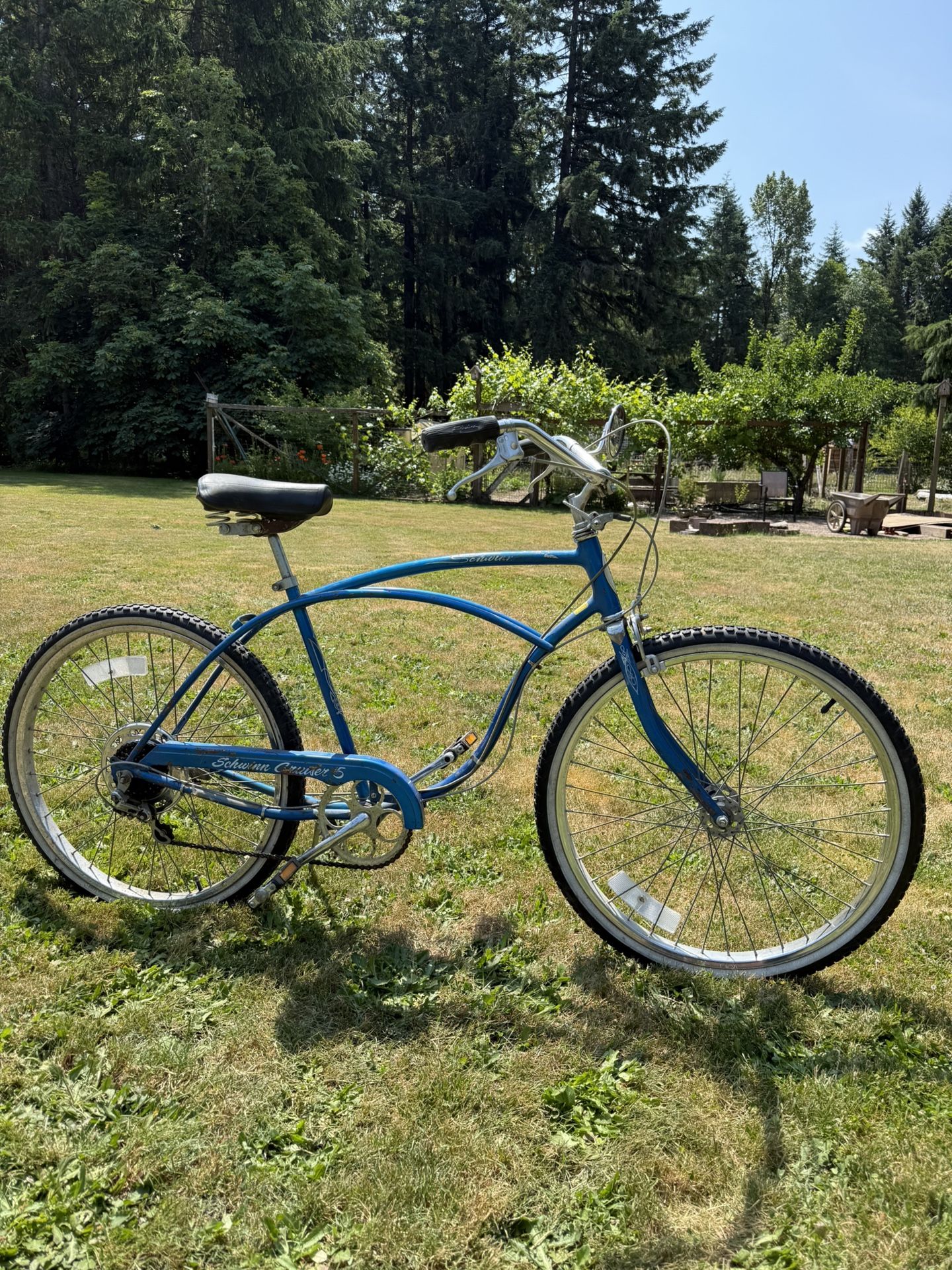 1980 Schwinn CC5 Cruiser 5