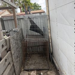 Dog Crates 