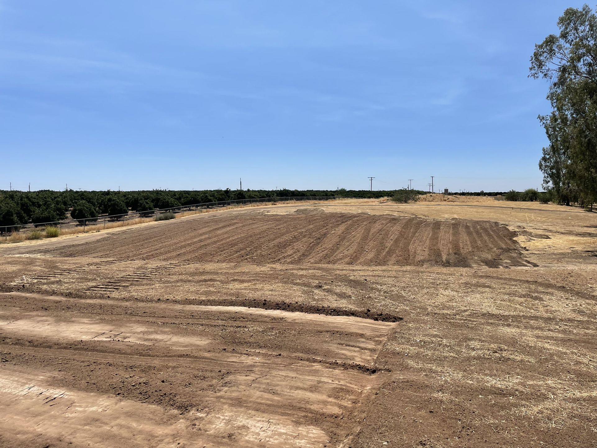 Rectors Dozer Work