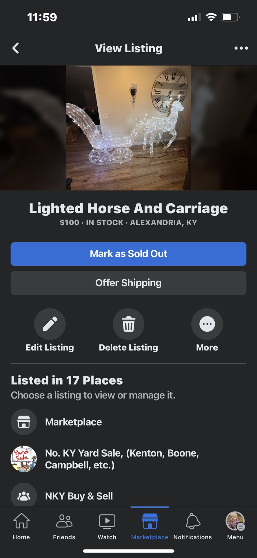 Light Horse And Carriage 