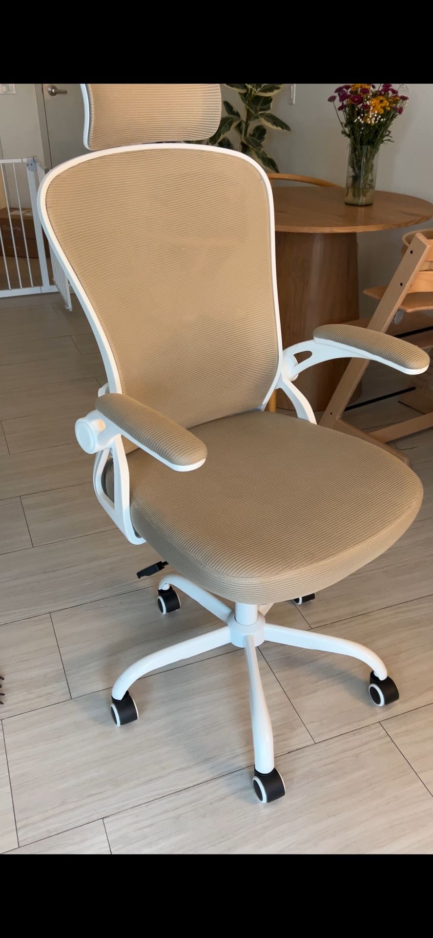 Ergonomic Office Chair