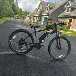 Ebike