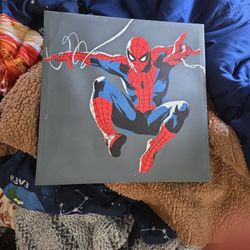 Spiderman Art