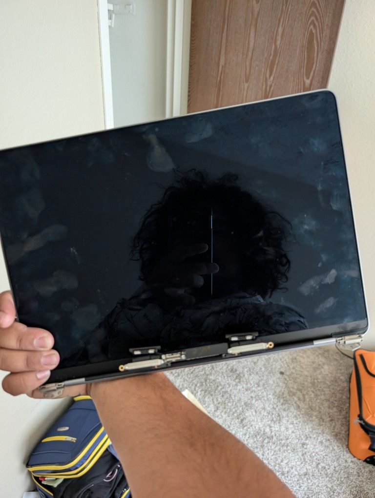 MacBook Pro 10th Gen Screen Replacement