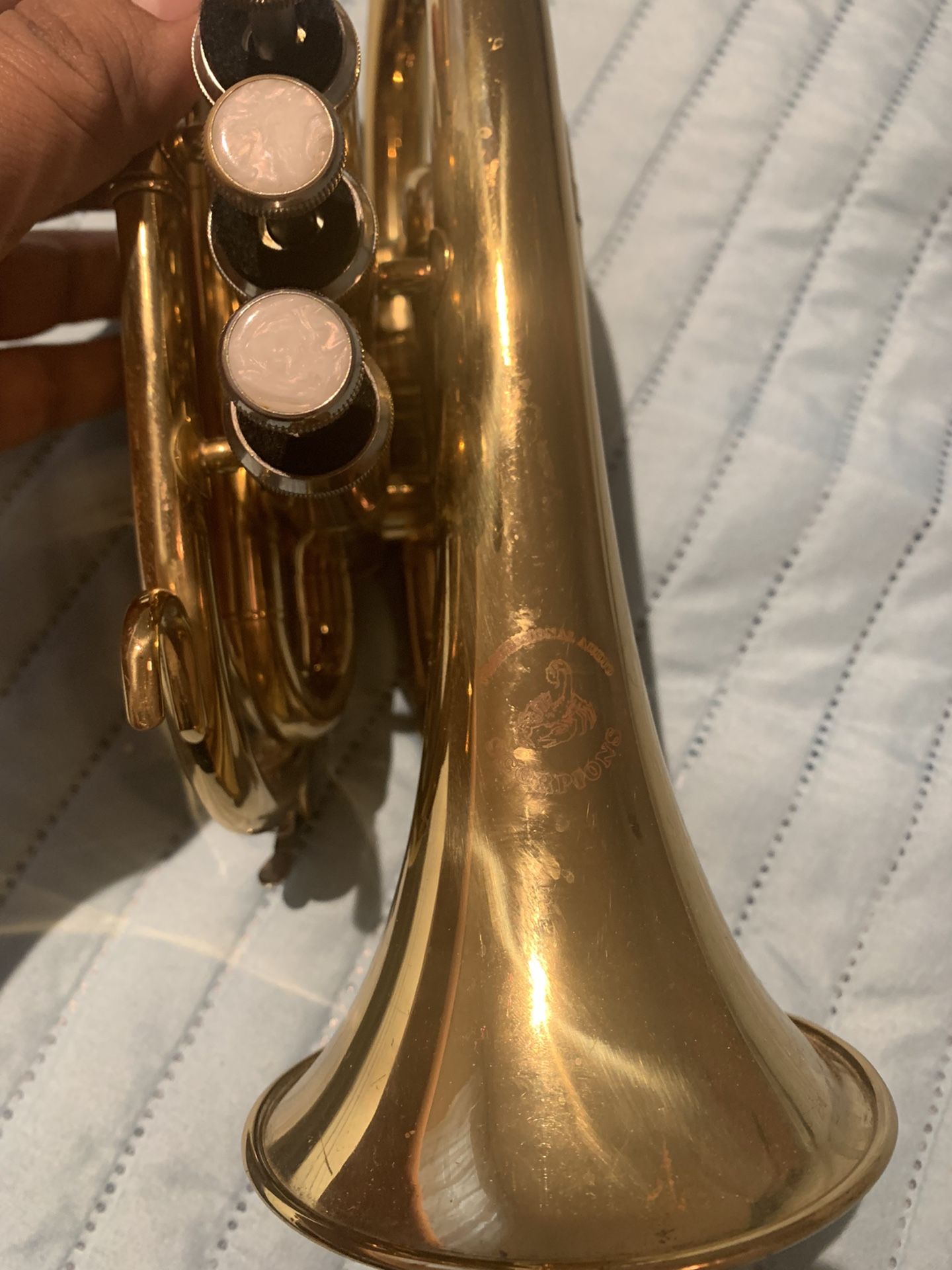 Pocket Trumpet imported from Bolivia